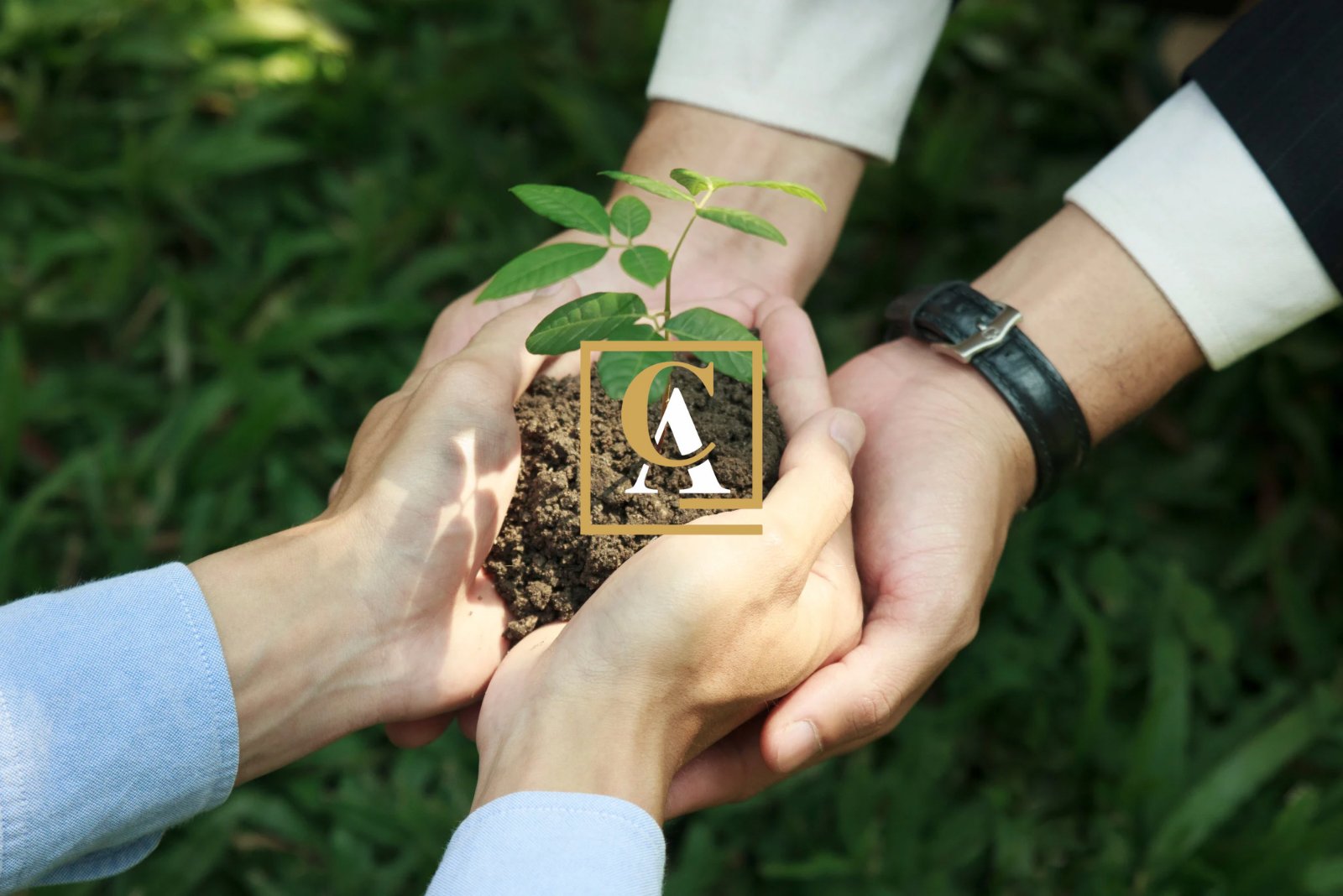 Sustainability